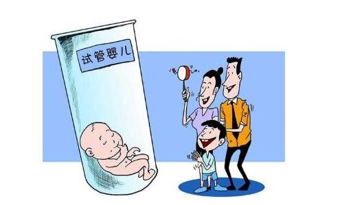 胚胎培养